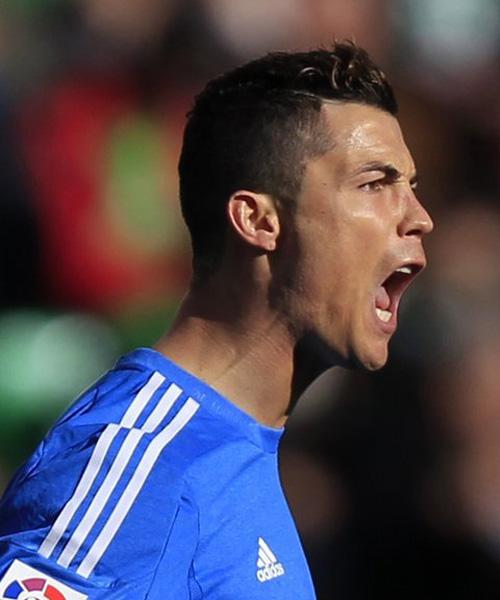 属感建立 属感建立