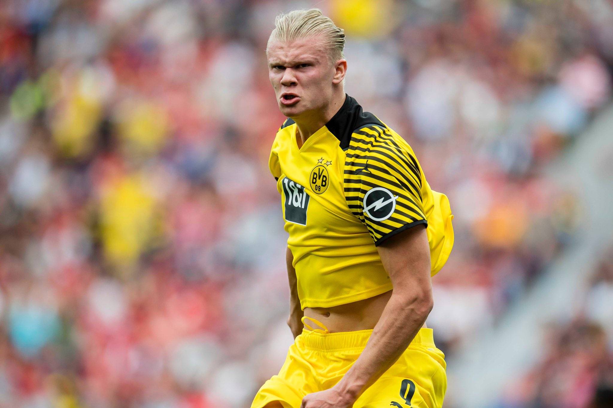 鲍尔是引擎 鲍尔是引擎